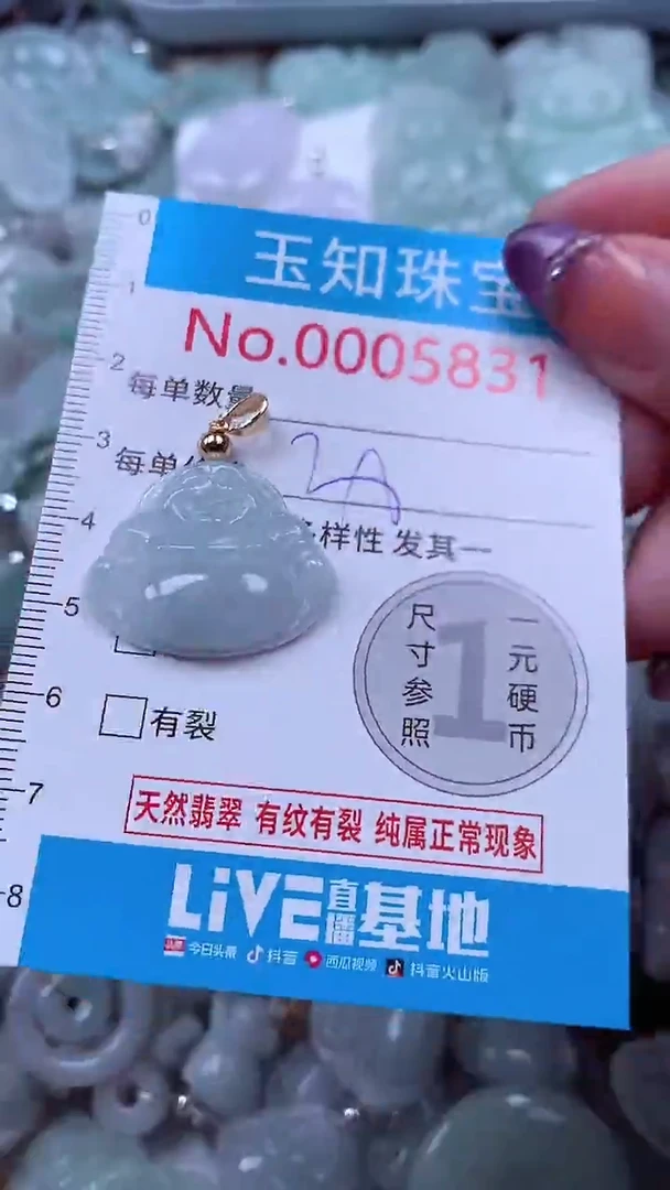 翡翠未镶嵌吊坠(不含链)5831