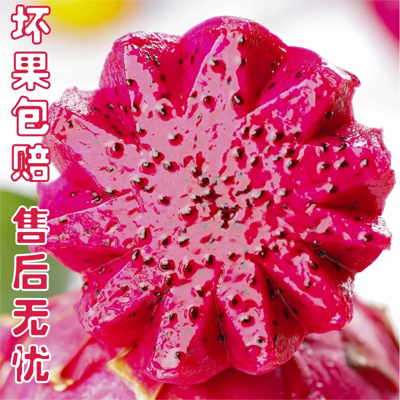 云南优选五斤装！金都一号 红心火龙果 当季水果 皮薄多汁现摘现发