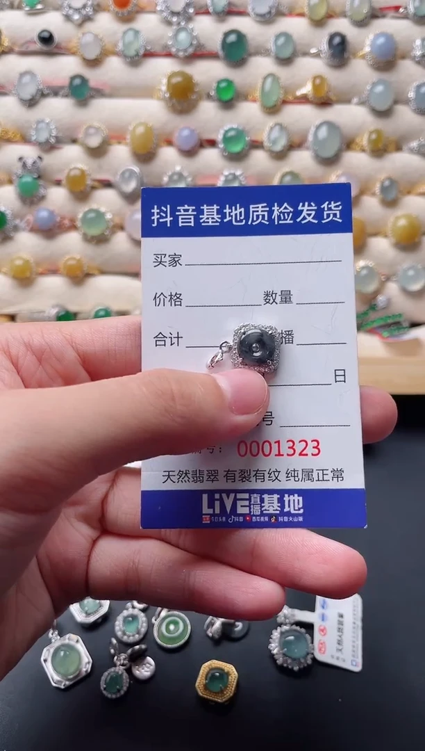 翡翠银S925镶嵌颈饰.....