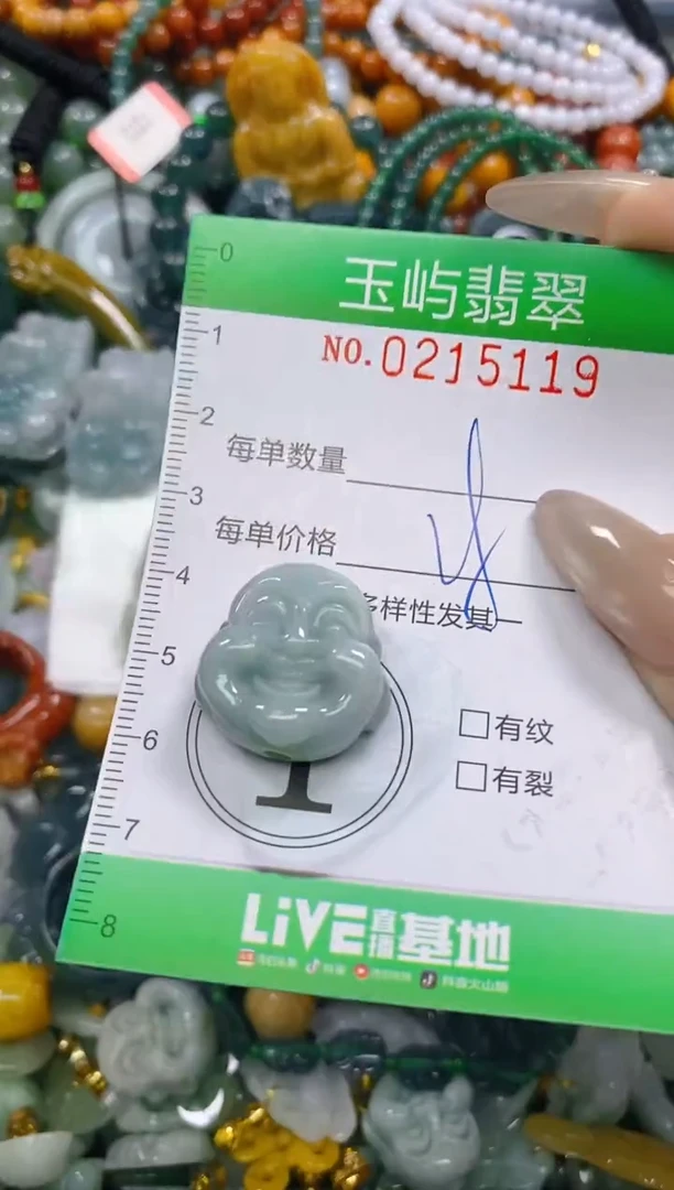 颈饰未镶嵌翡翠闪购0215119