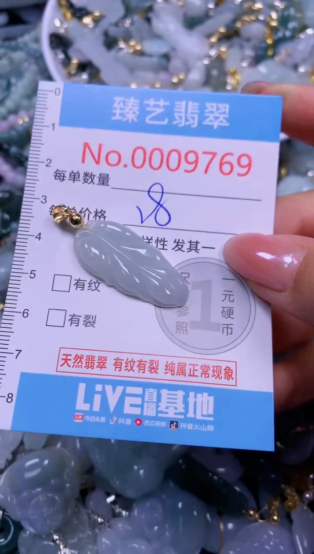 颈饰未镶嵌翡翠9769