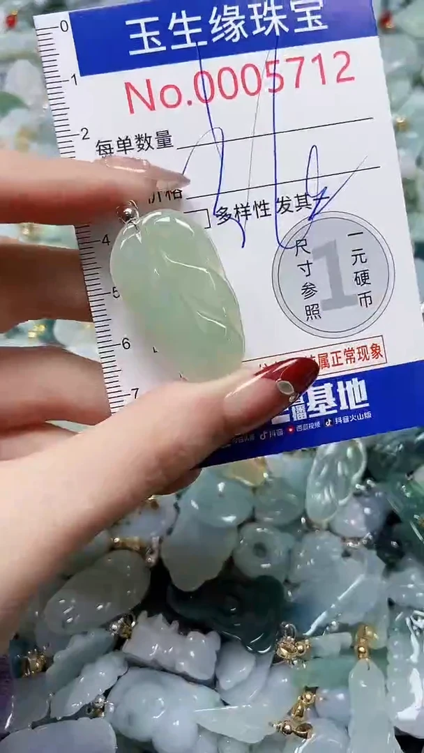 【闪购商品】翡翠颈饰未镶嵌闪购00005712