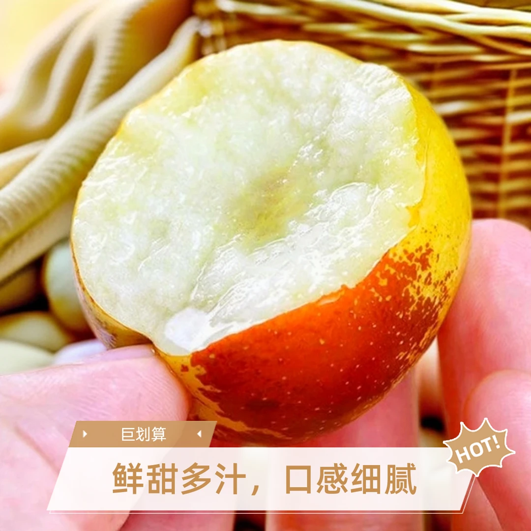 S正宗陕西大荔冬枣冰糖脆甜小红枣3/5斤新鲜水果皮薄肉厚包邮头茬