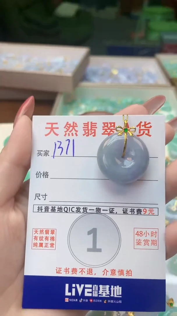 颈饰未镶嵌翡翠天然A货翡翠挂件