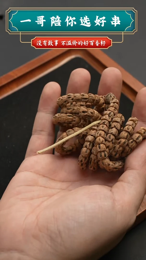 吊坠柏香籽/百香籽6260