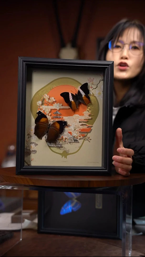 N445  仙人掌和紫草蛱蝶组合