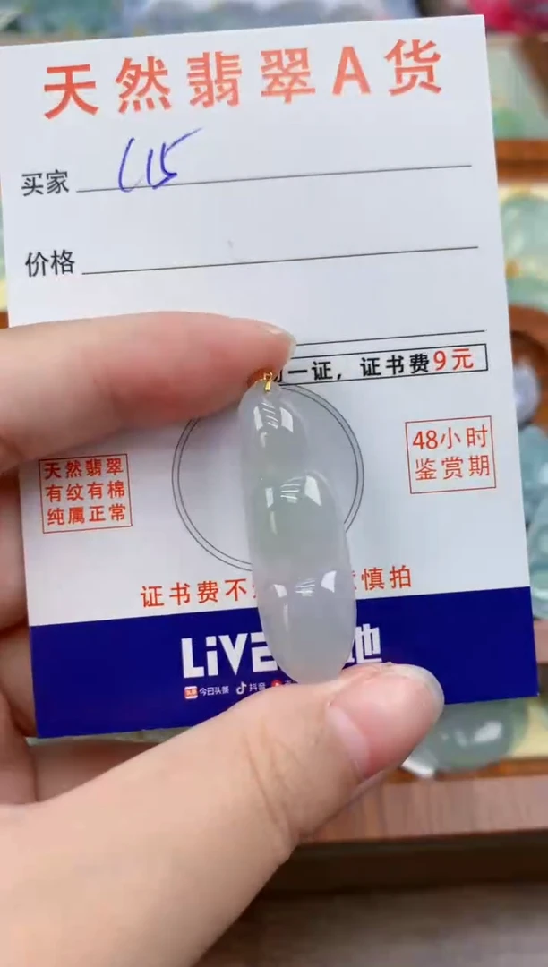 颈饰未镶嵌翡翠天然A货翡翠挂件