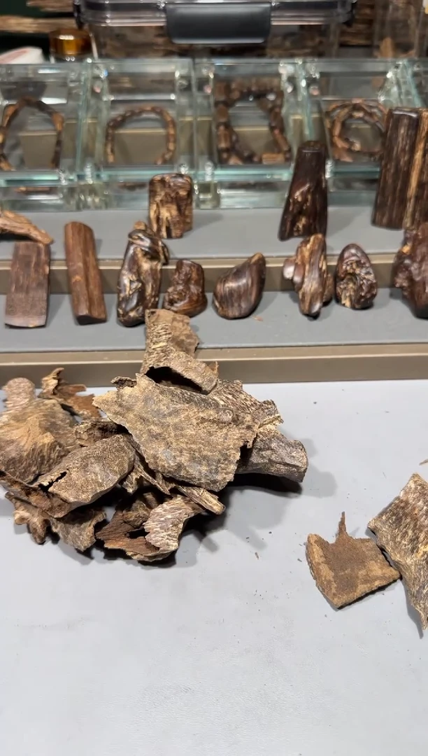 河静河静河静河静1