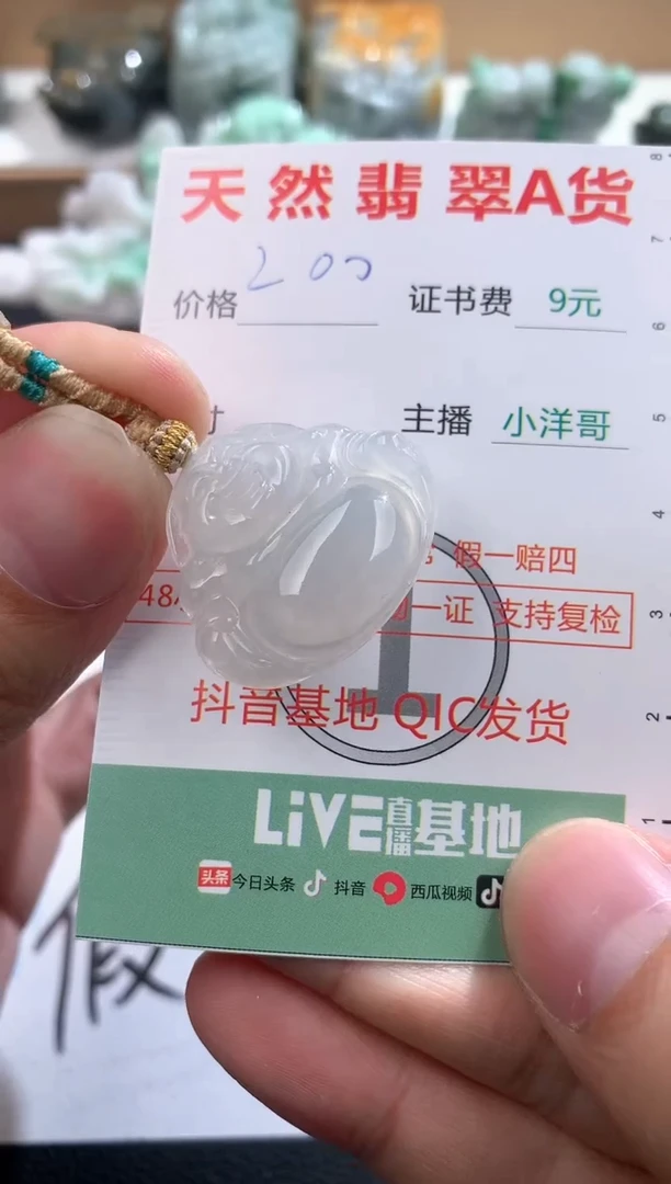翡翠未镶嵌吊坠(不含链)1
