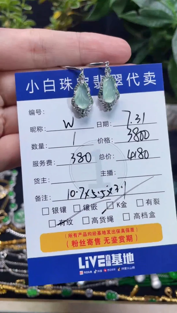 翡翠18K金镶嵌耳饰W***Y耳饰