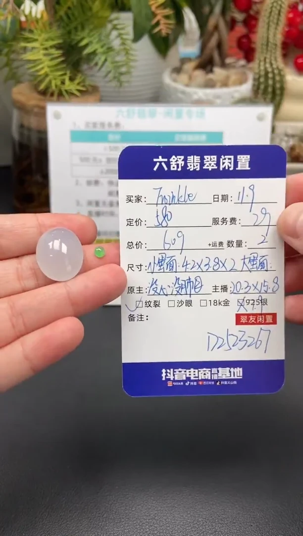 颈饰未镶嵌翡翠T****eD2523267