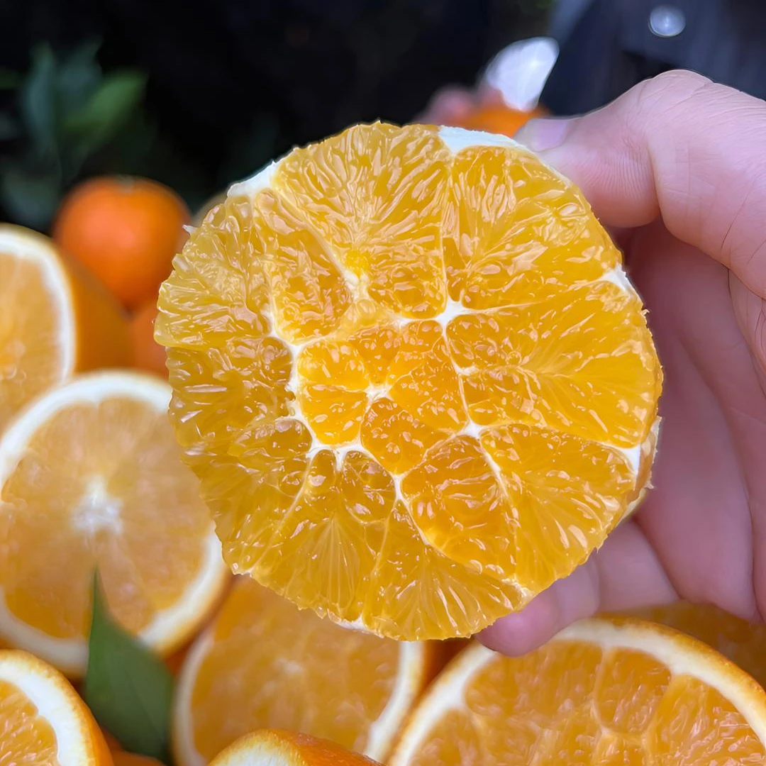 正宗重庆奉节脐橙江边福本柔嫩化渣香甜多汁产地直发20斤