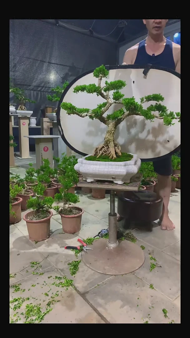 完全开放永*111111111111