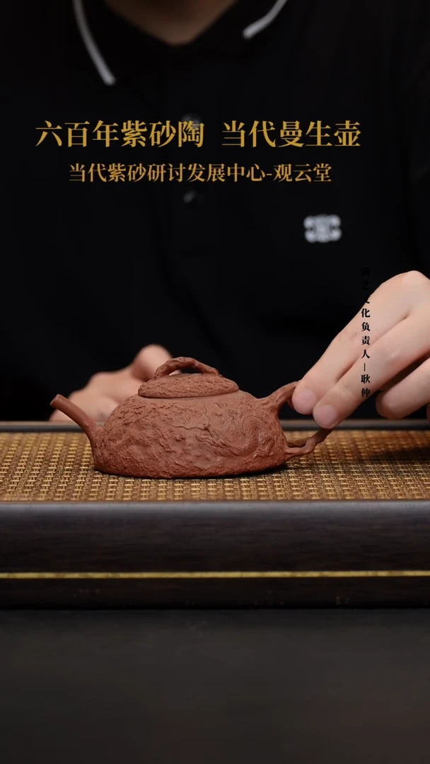 茶壶紫砂 紫砂茶壶  红降波