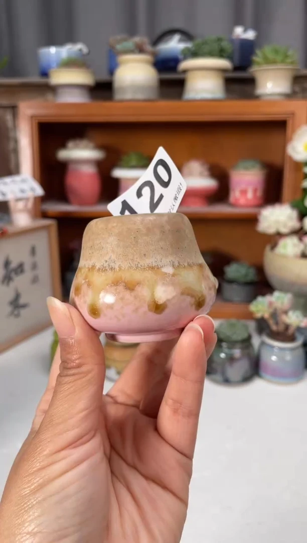 瓷片120小芳直播编号