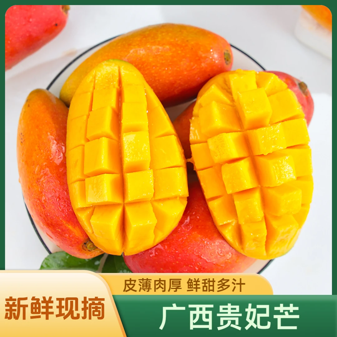【放熟吃】正宗广西贵妃芒果当季水果红金龙芒新鲜现摘热带水果S