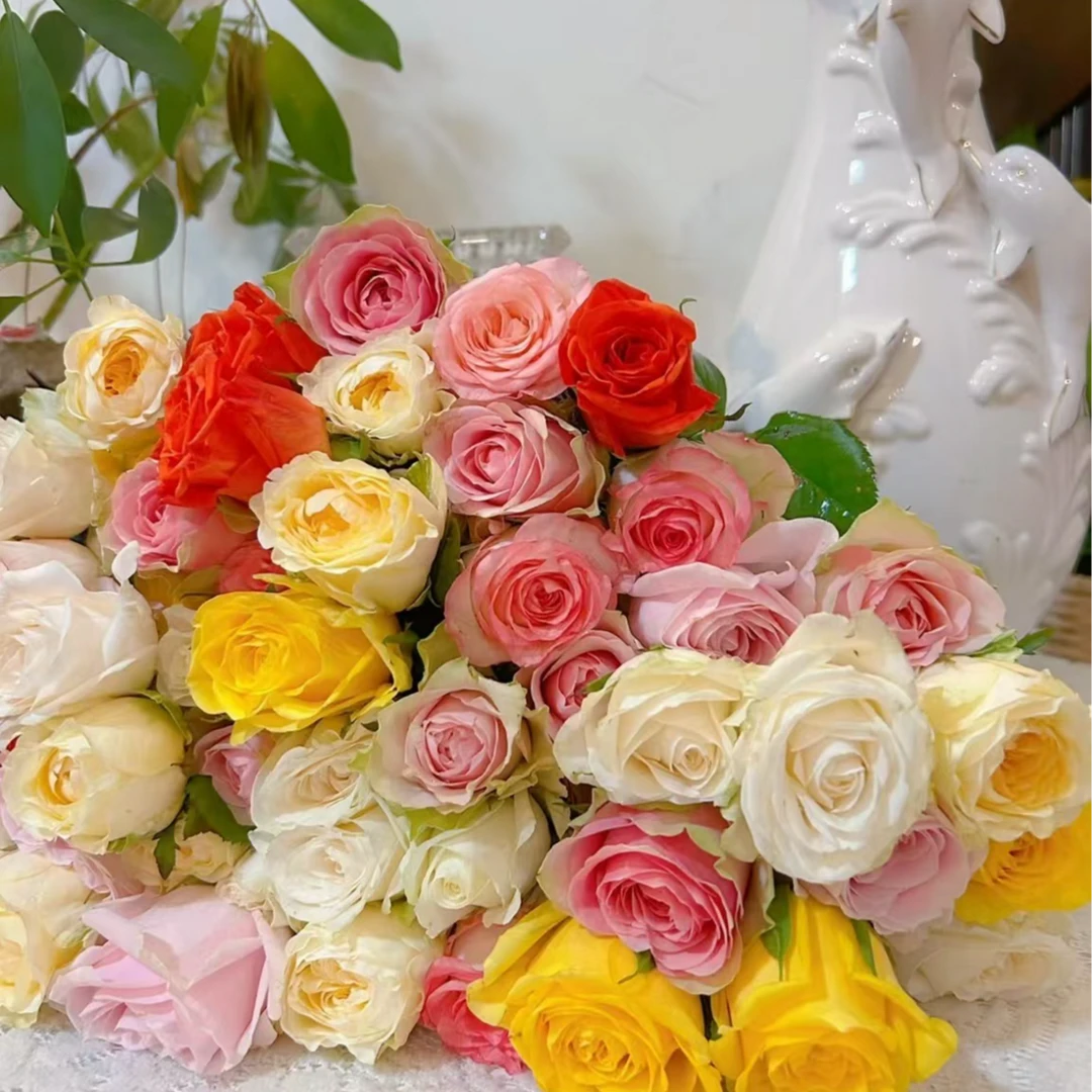 （福袋玫瑰）任意色花花1扎云南基地直发