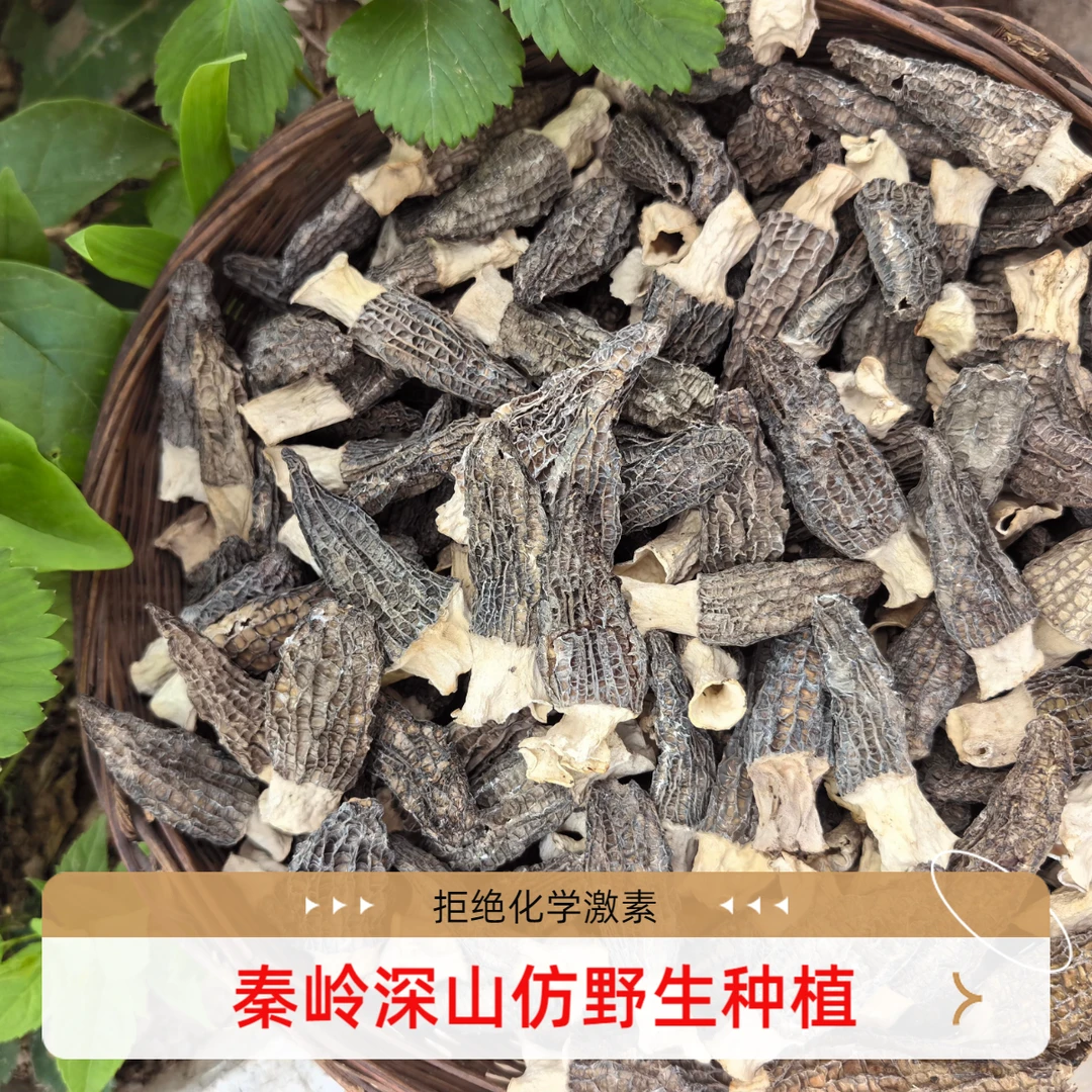 【助农代卖】秦岭深山农户自种林下仿野生种植羊肚菌