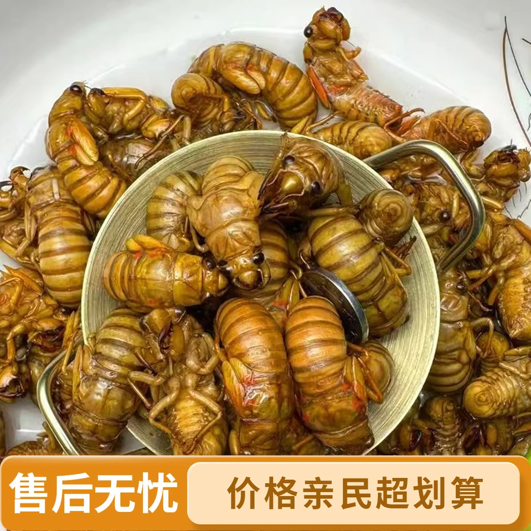 新鲜杜仲金禅  爬叉   知了1猴   顺丰速运