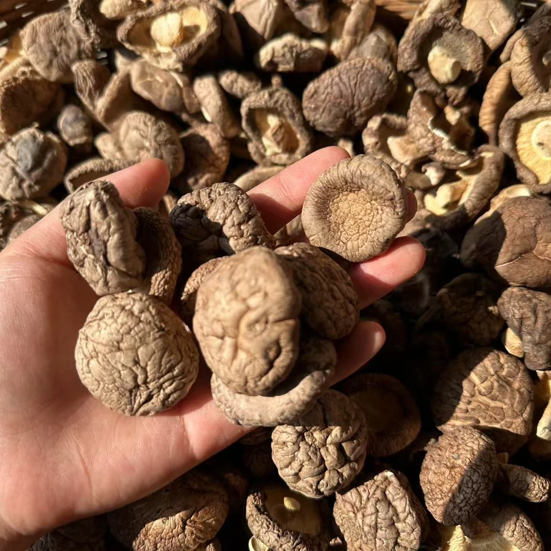 云南农家特产小香菇可煲汤炖鸡食用