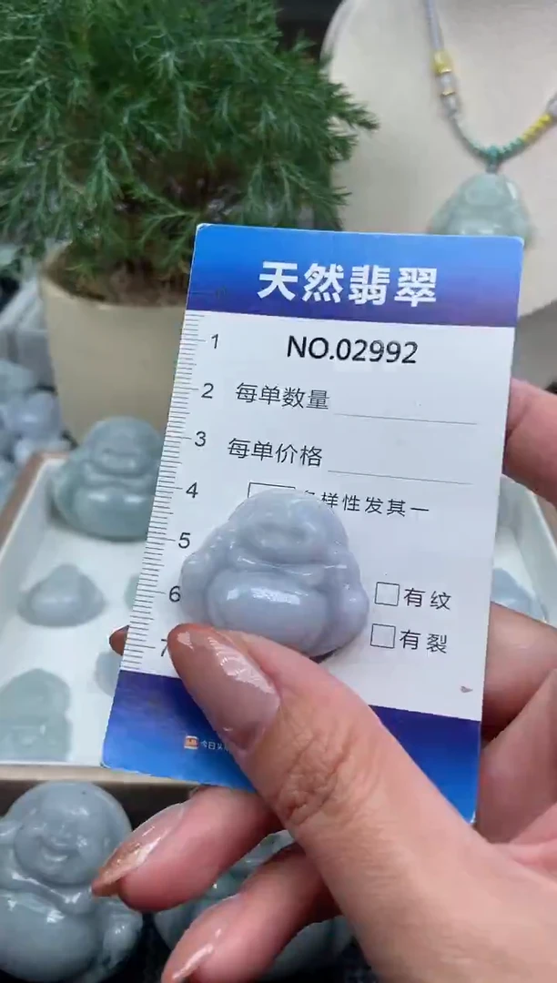 颈饰未镶嵌翡翠纯天然A货翡翠2992