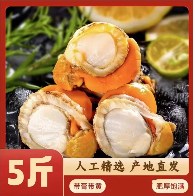 新鲜扇贝肉带黄带膏无泥无沙无壳全贝肉现剥新鲜速冻