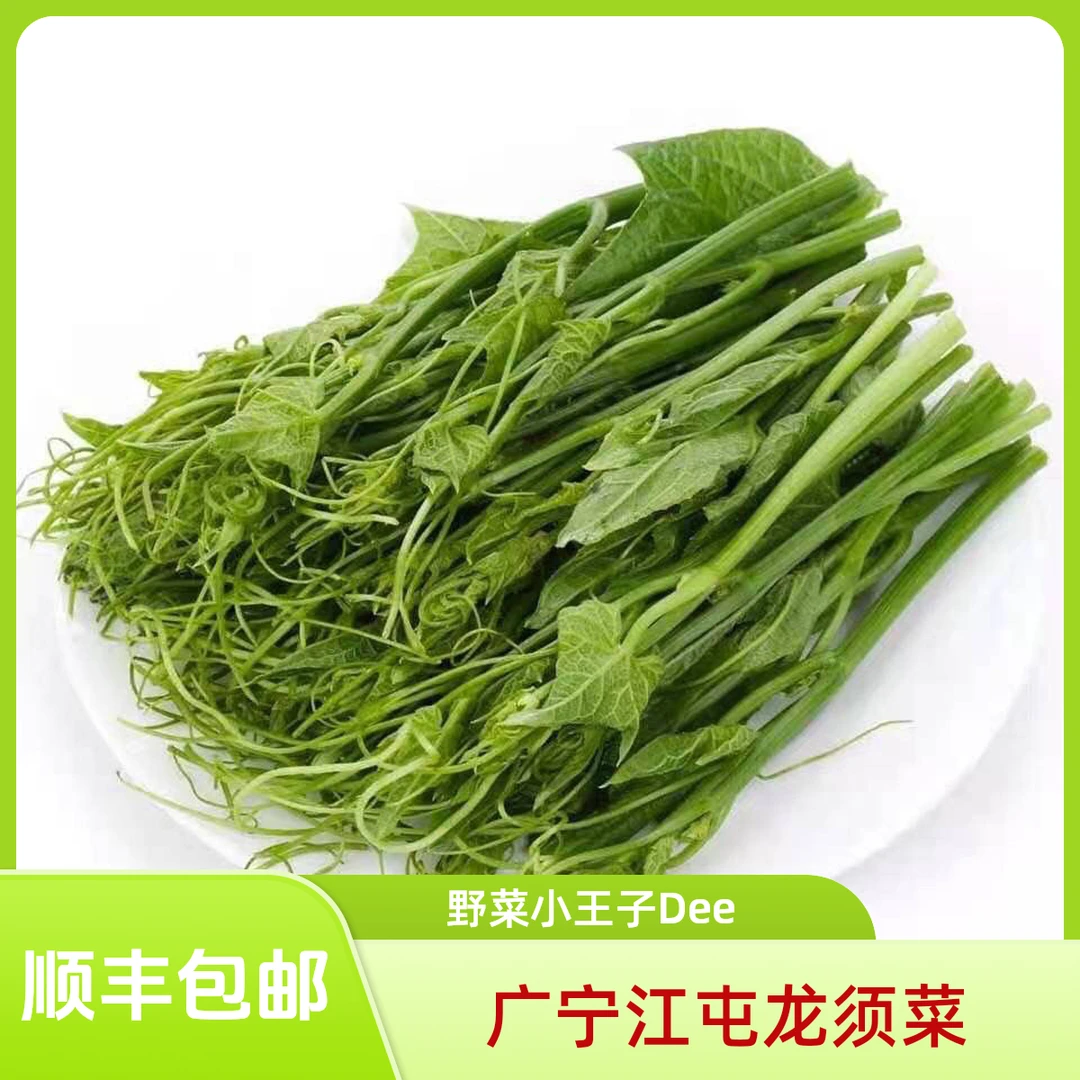 肇庆广宁江屯新鲜龙须菜佛手瓜苗农家自种无公害食用炒食500g顺丰