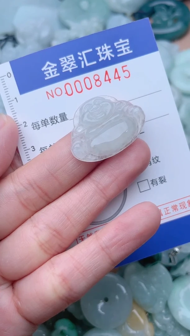颈饰未镶嵌翡翠8445