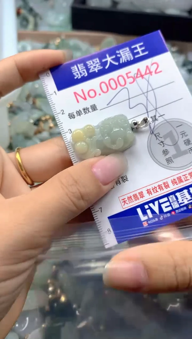 颈饰未镶嵌翡翠5442