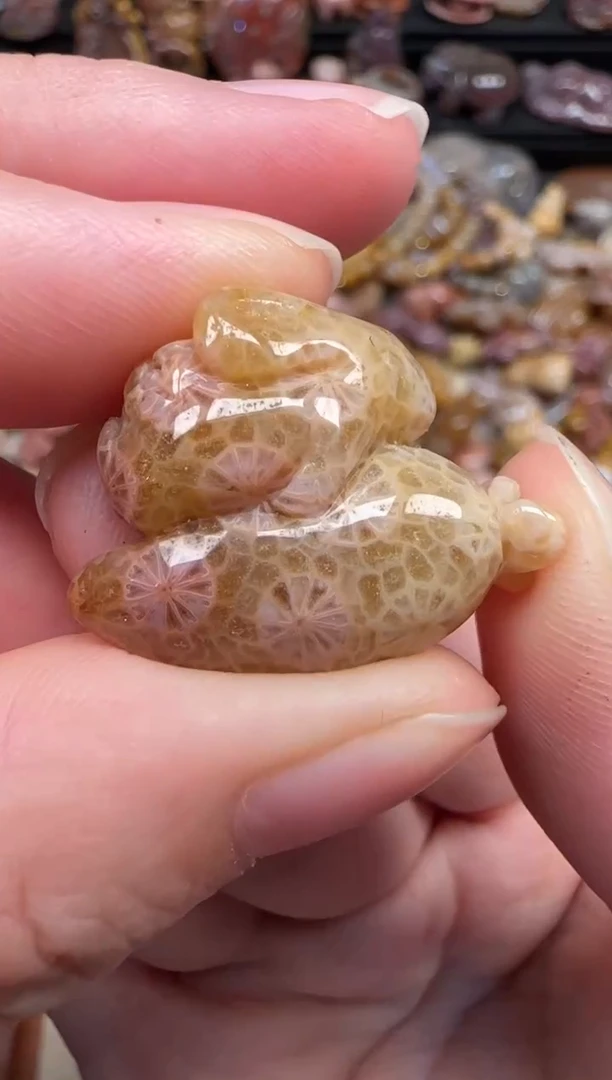 颈饰未镶嵌硅化珊瑚（珊瑚玉）139