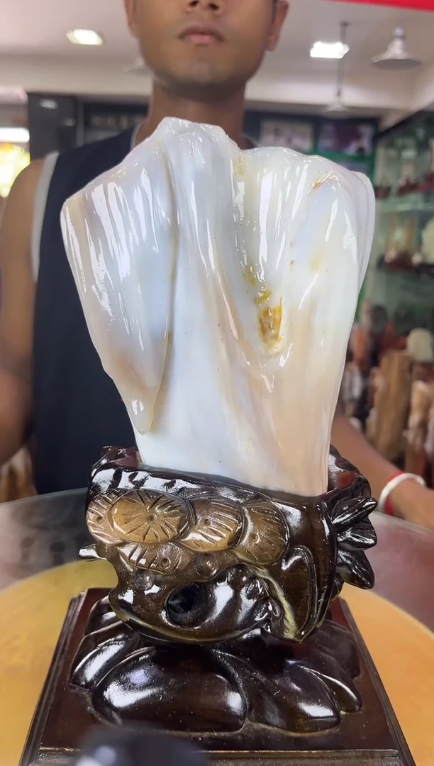 未镶嵌珠宝奇石硅化玉缅甸天然树化玉摆件