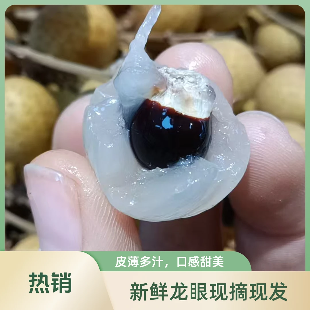 晶莹剔透-龙眼 19.8 二斤
