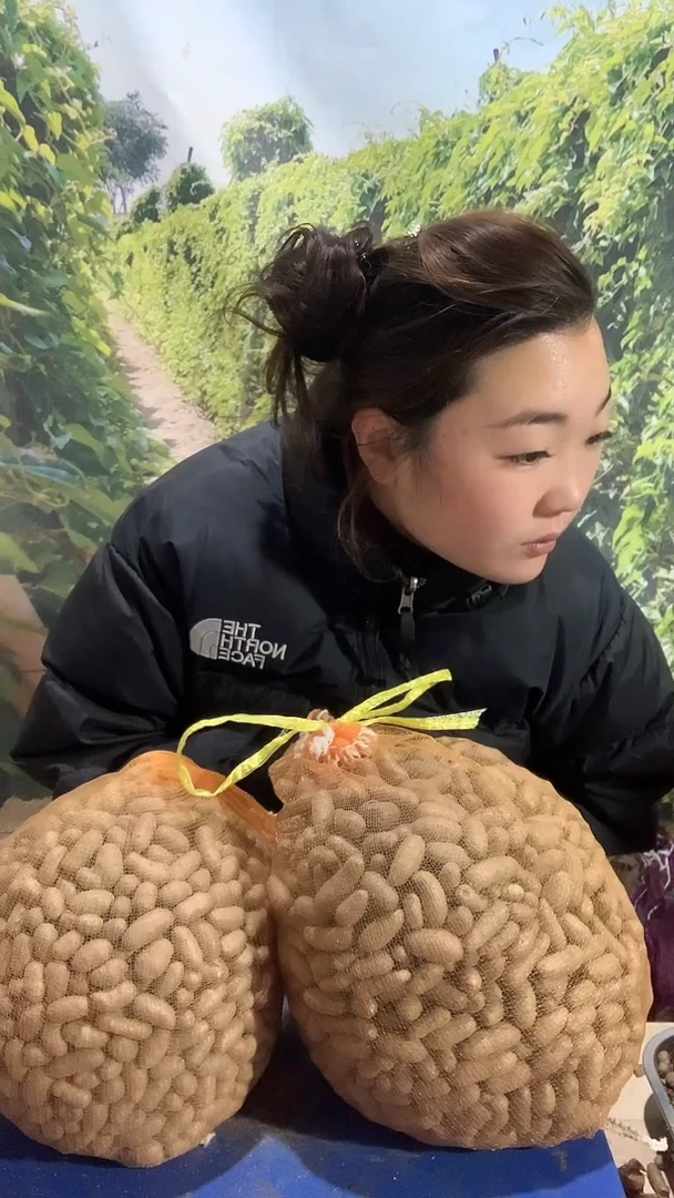 中国大陆超级大果山药豆
