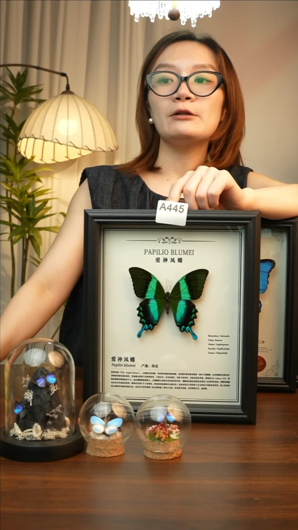 爱神凤蝶10欧式黑框A445