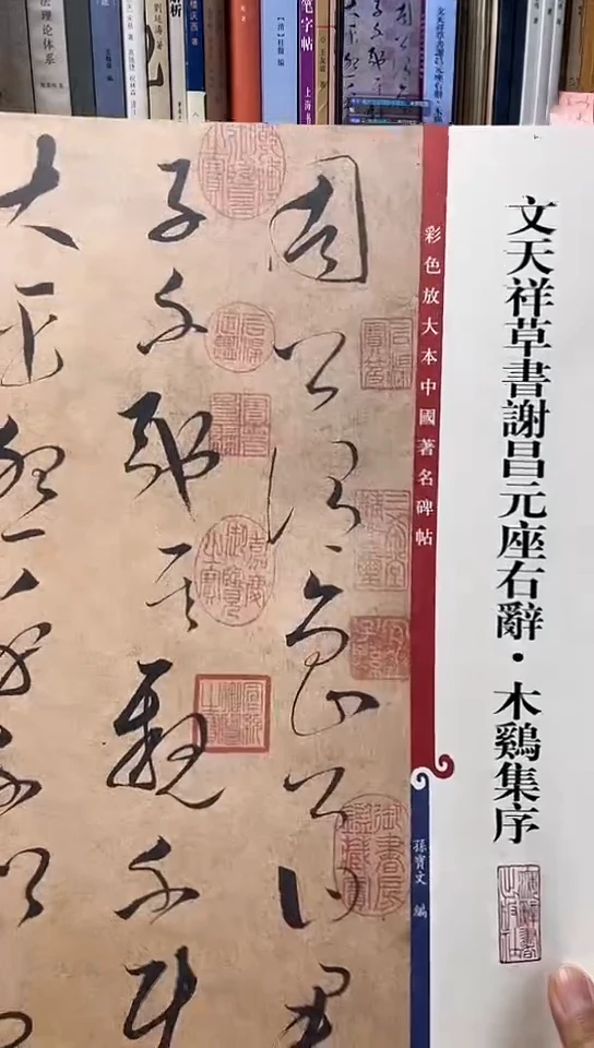 文天祥草书谢昌元座右辞木鸡集序C6-3  彩色放大本