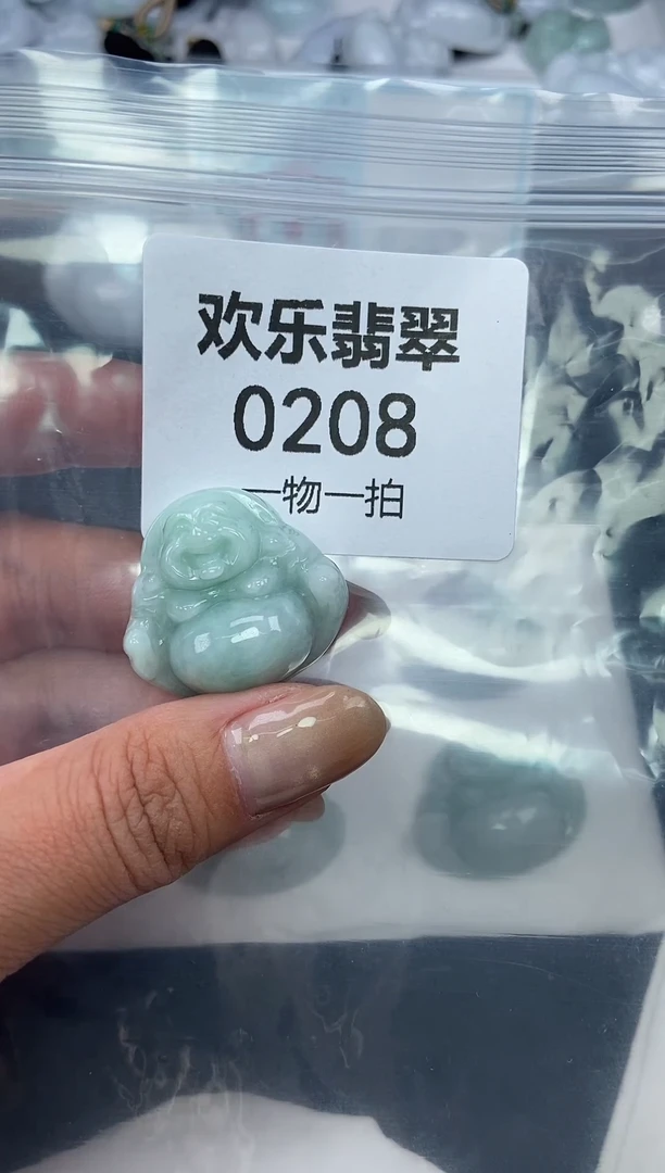 颈饰未镶嵌翡翠缅甸天然翡翠0208