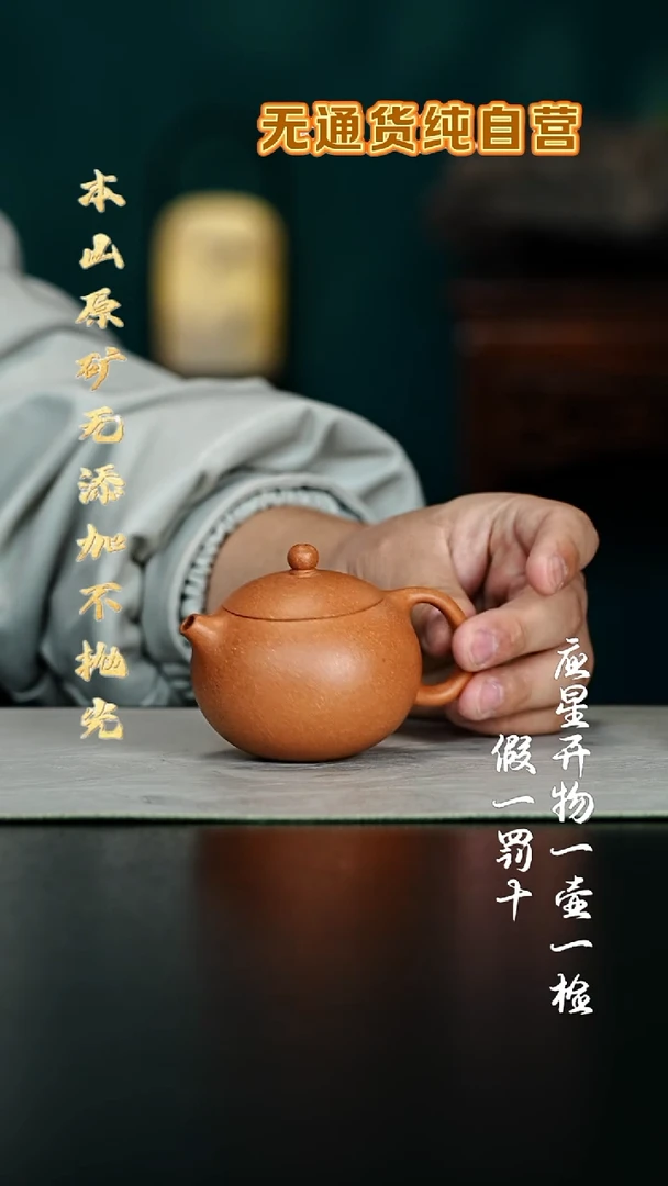 茶壶紫砂至纯宝山黄金段西施150cc