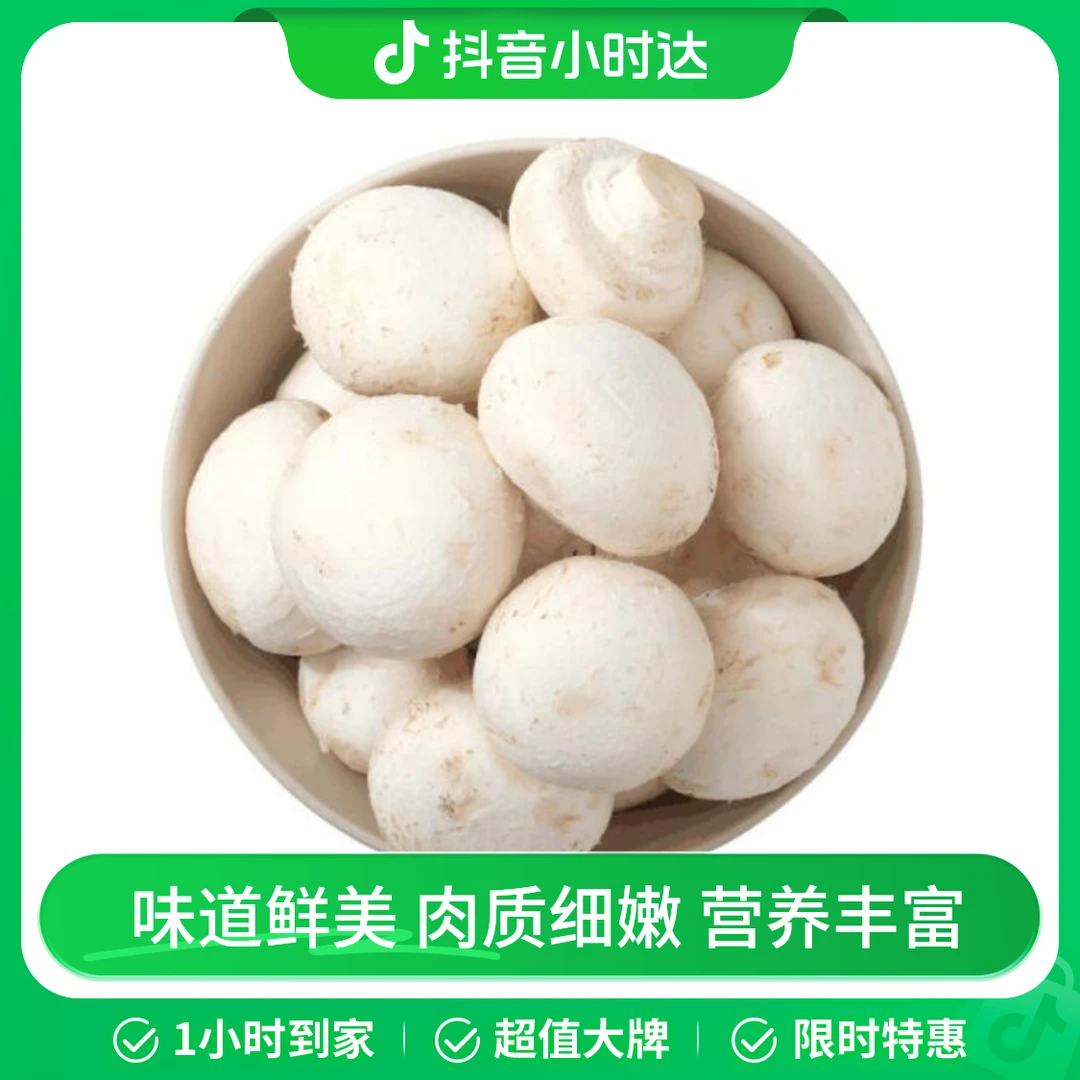 白蘑菇 520g