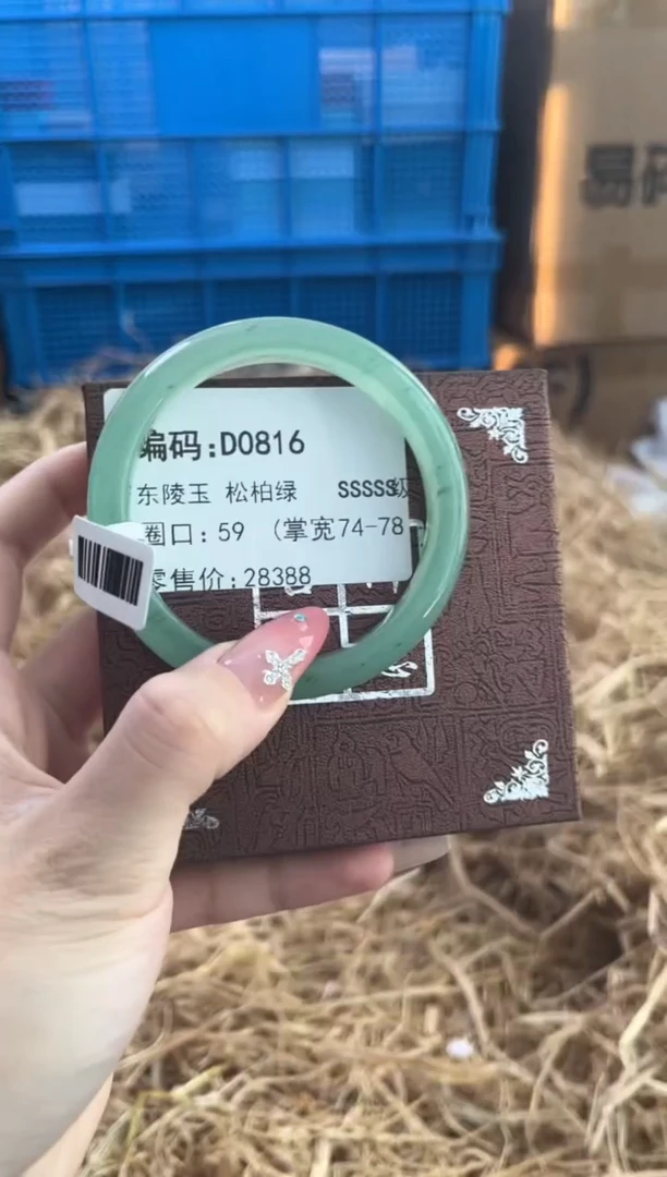 未镶嵌手镯石英质玉D0816