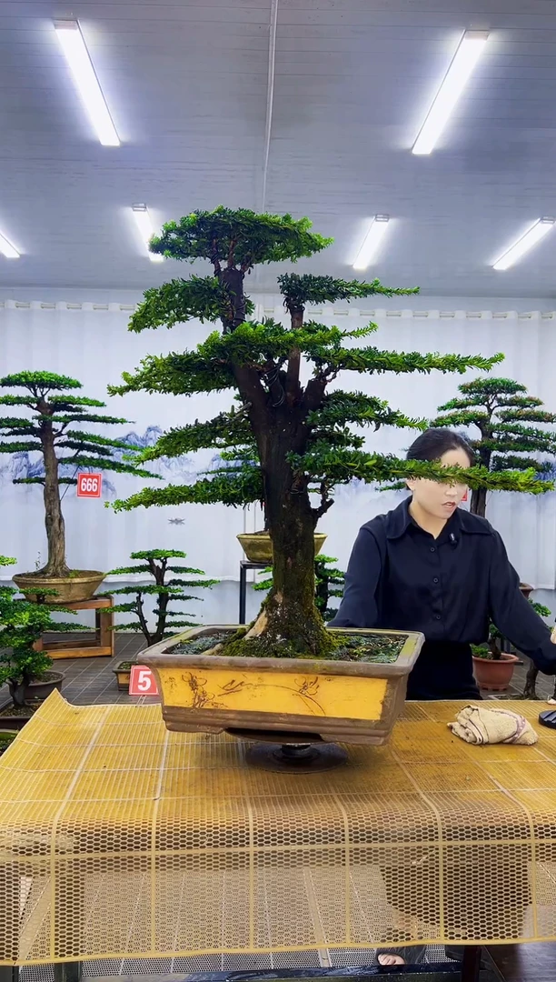 陈*涛0000000000000000000