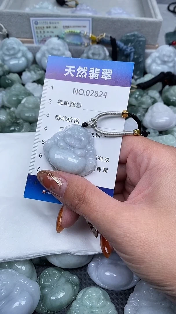 颈饰未镶嵌翡翠纯天然A货翡翠2824