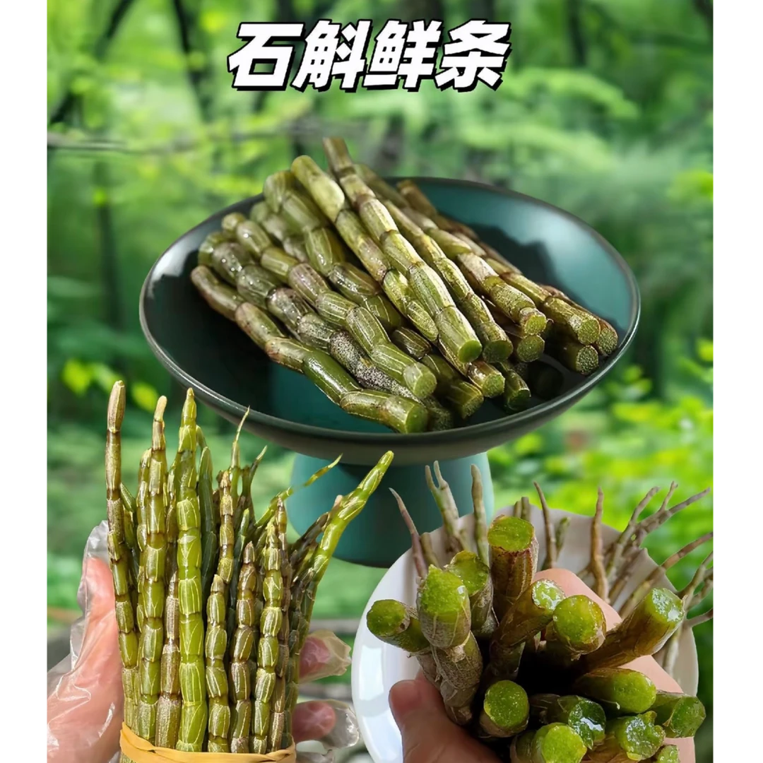 雁荡山铁皮石斛鲜条现摘新鲜采摘榨汁煲汤