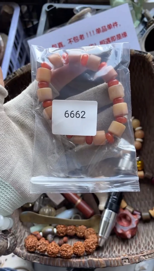 器556677882505246662