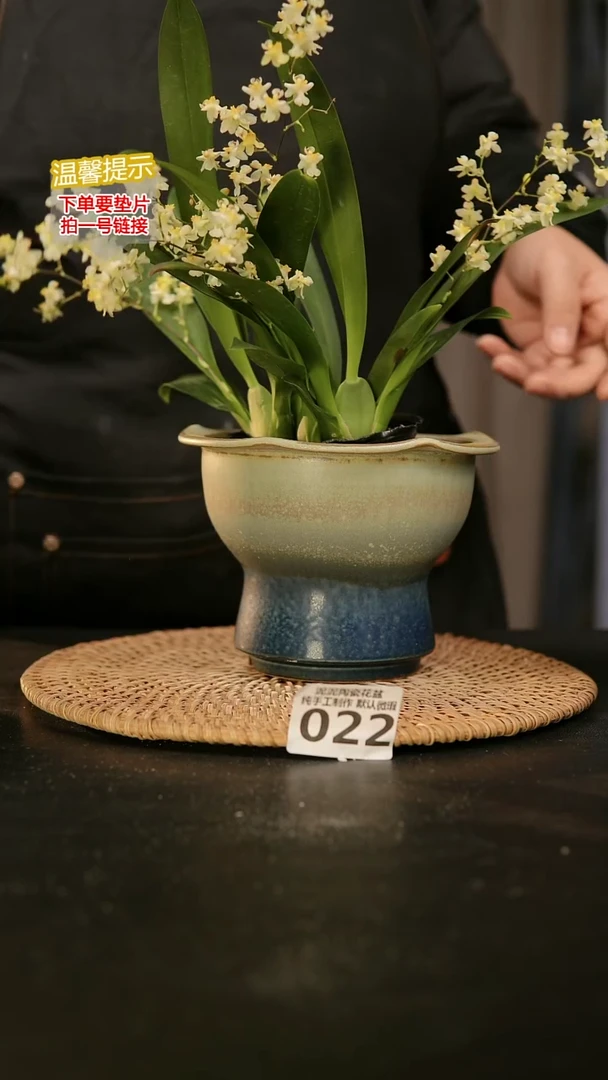 瓷片022内口径约11-12  外高约11-12