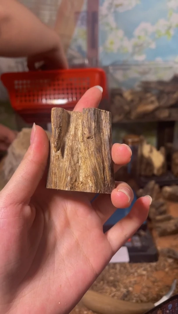 沉香沉香碎屑白棋77