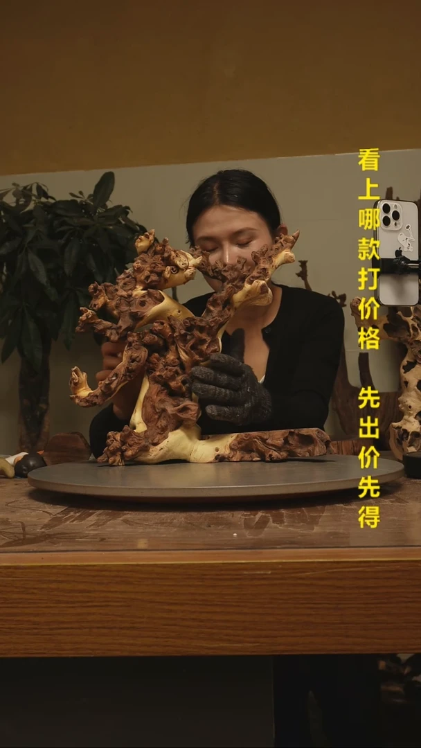 木怼**了金丝红木888