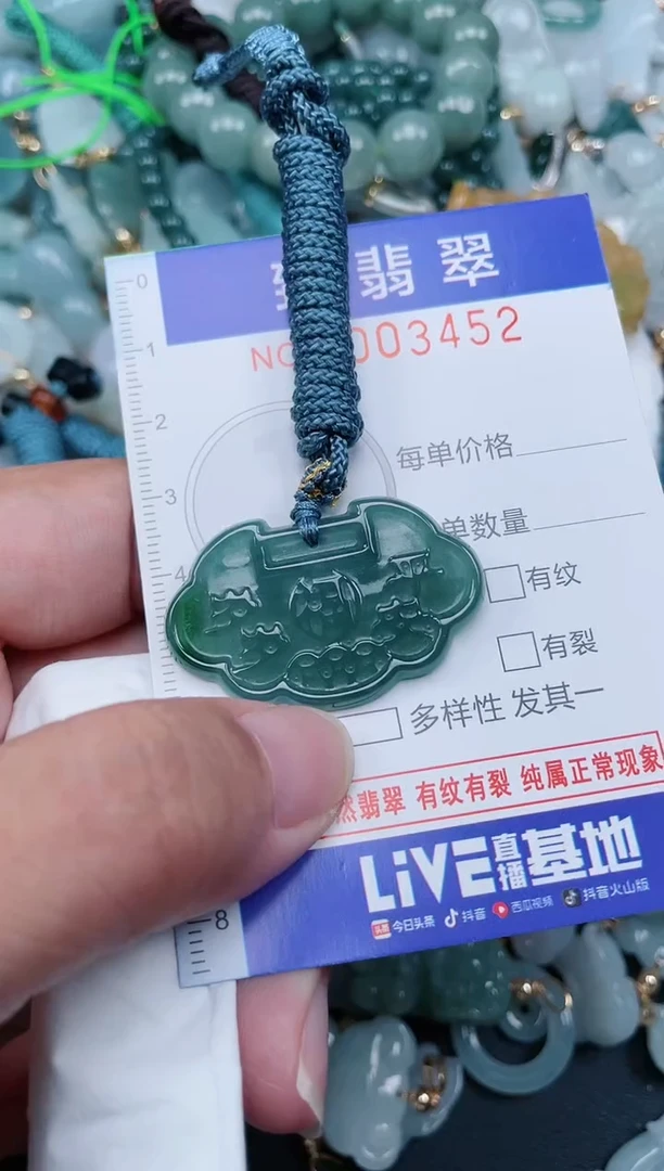 翡翠未镶嵌颈饰.0003452