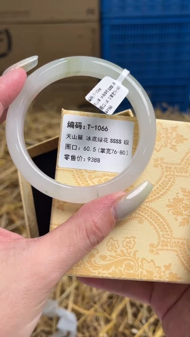 未镶嵌手镯石英质玉T-1066