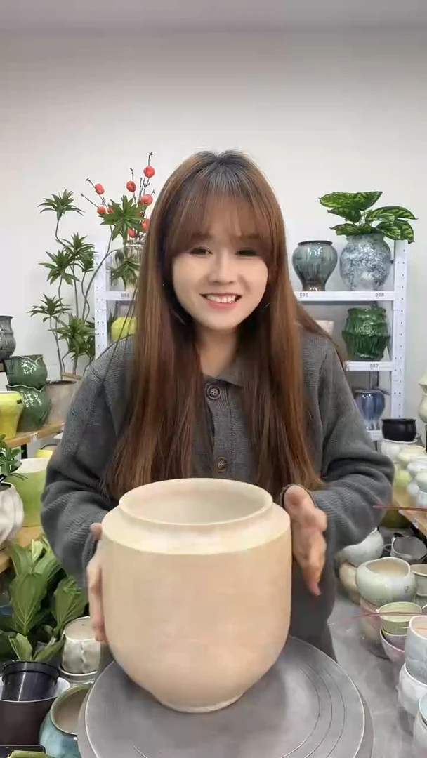 11.22陶瓷花盆直播链接高.    21  口17