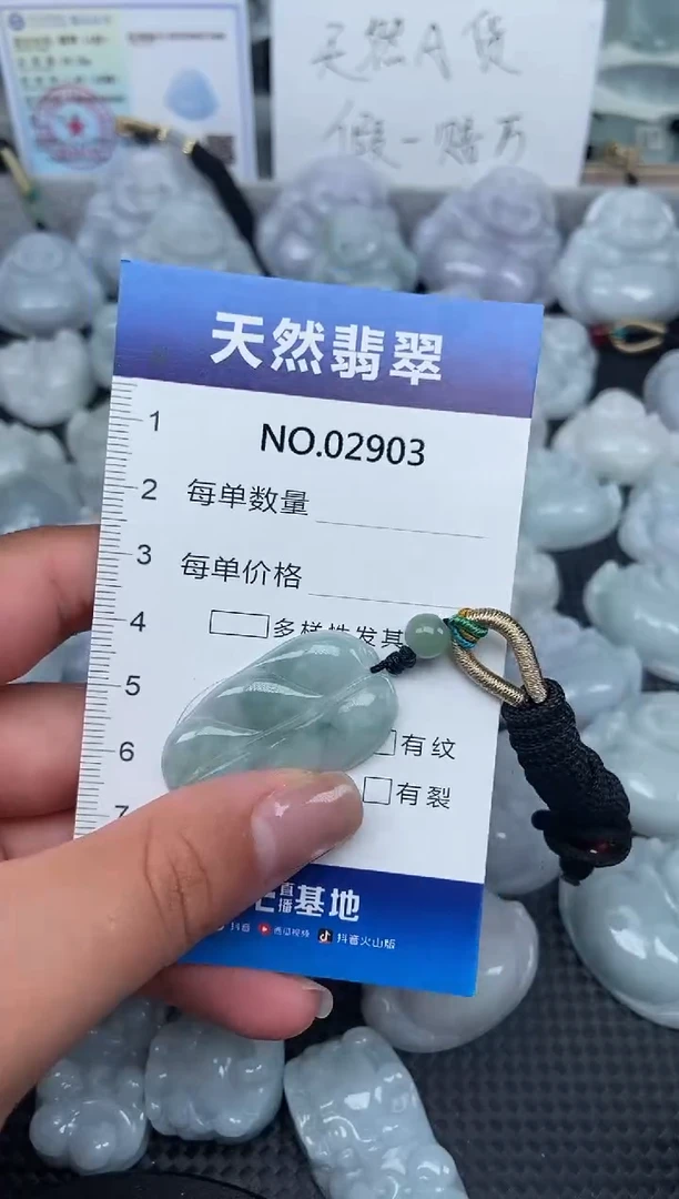 颈饰未镶嵌翡翠纯天然A货翡翠2903